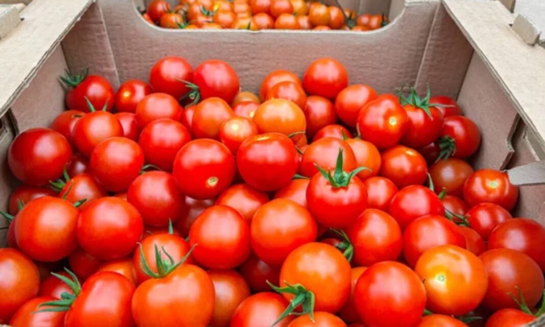 Jitomate mexicano arancel de EU