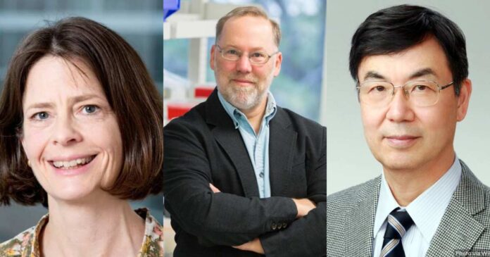 Los científicos Mary Brunkow, Fred Ramsdell y Shimon Sakaguchi recibieron el Nobel de Medicina 2025 por sus hallazgos sobre las células T reguladoras. Foto: @NobelPrize en X