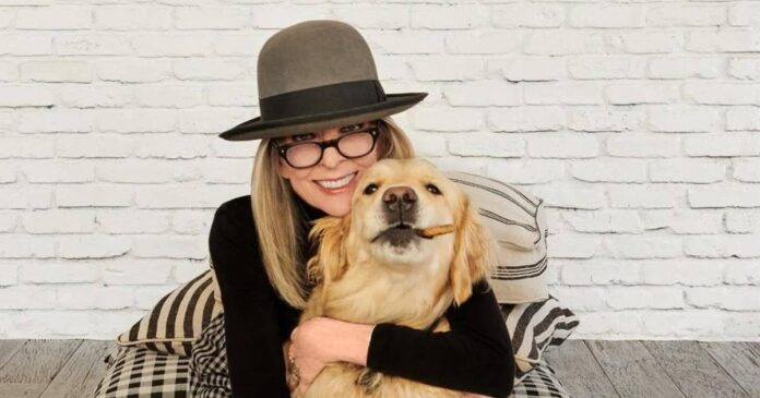 Estrellas de Hollywood, como Bette Midler y Kimberly Williams-Paisley, homenajearon a Diane Keaton tras su fallecimiento a los 79 años. Foto: Instagram
