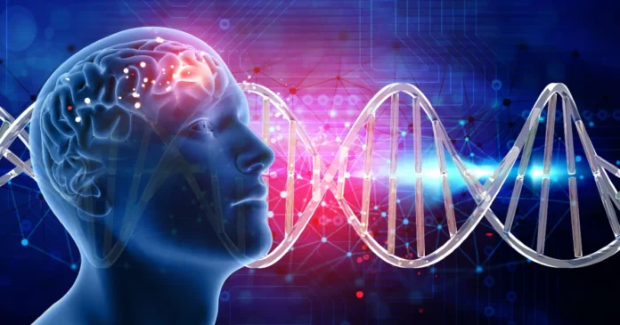 Imagen ilustrativa del cerebro humano y la actividad neuronal relacionada con la atención y la concentración, según un nuevo estudio genético. Foto: Freepik IA