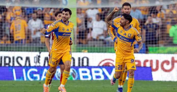 Tigres y Cruz Azul abrirán las semifinales del Apertura 2025 en el Estadio Olímpico de Ciudad de México. Foto: EFE/Archivo Tigres y Cruz Azul abrirán las semifinales del Apertura 2025 en el Estadio Olímpico de Ciudad de México. Foto: EFE/Archivo