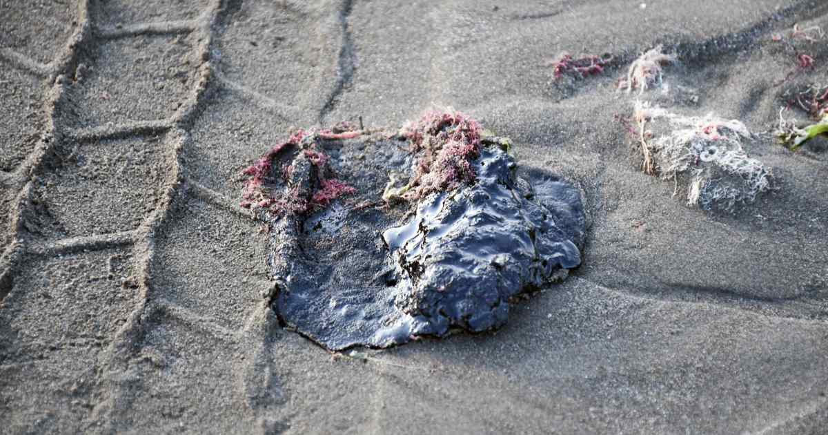 Trabajos de limpieza en costas del Golfo de México tras el derrame de hidrocarburos que afecta a Veracruz y Tabasco. Foto: EFE/Miguel Victória