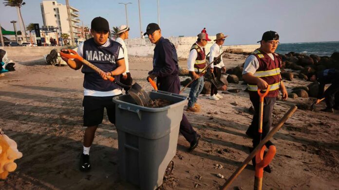 Brigadas ambientales trabajan en la limpieza de hidrocarburo en playas de Veracruz y Tabasco. Foto: EFE/Semarnat