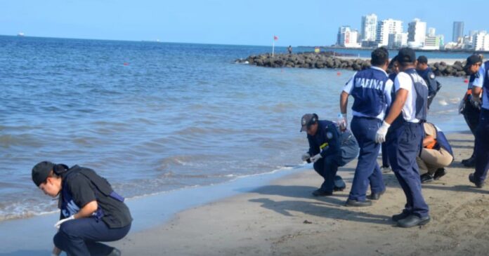 Autoridades realizan labores de limpieza tras derrame de hidrocarburo en costas del Golfo de México. Foto: Gobierno de México