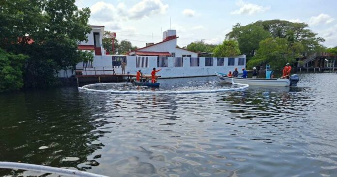 Operativos de limpieza en las costas del Golfo de México tras la contaminación por hidrocarburos. Foto: Pemex