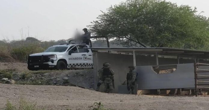 Autoridades desplegaron un operativo en Tehuitzingo tras el ataque armado que dejó 10 muertos. Foto: Tomada de X