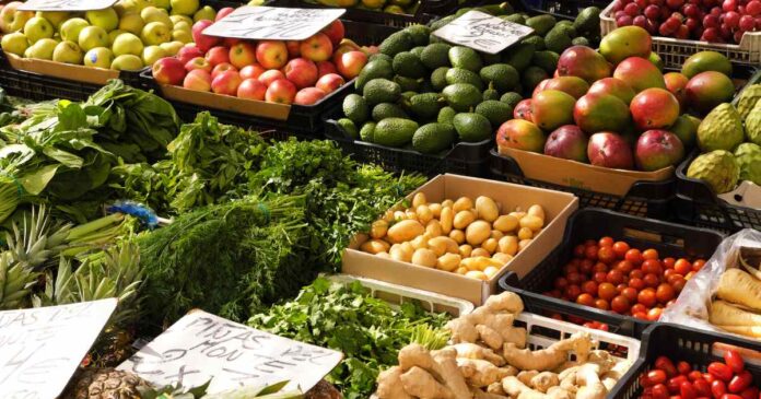 El aumento en alimentos como jitomate y chile elevó el costo de la canasta alimentaria en México. Foto: Magnific IA