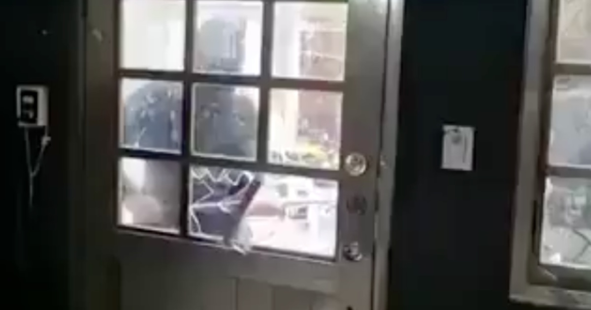 El momento previo al secuestro de la periodista Roxana Guzmán fue captado por una cámara dentro de una vivienda en Veracruz. Foto: Tomado de X