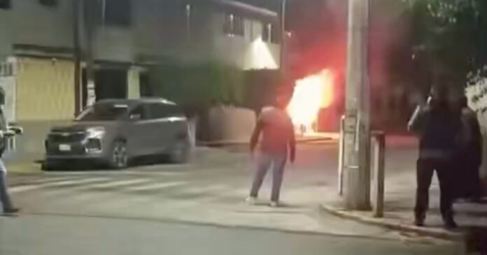 Al menos 14 perros murieron durante un incendio registrado en una vivienda de la colonia Nueva Atzacoalco, en la Gustavo A. Madero. Foto: Tomada de X